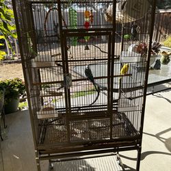 Bird cage