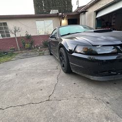 2001 Mustang Gt 5speed
