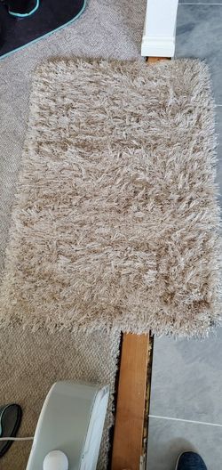 Shaggy Area Rug 30x45