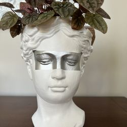 Greek goddess Venus planter head concrete white silver accents live plant peperomia “pink ripple” heavy handmade 12”h x 10” including plant Vase Art