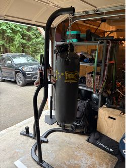 Everlast Heavy Bag / Punching  Bag