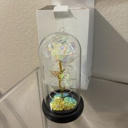 Colorful Rainbow Light Up Rose in A Glass Dome$20