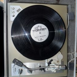 Record Of Salt Shaker