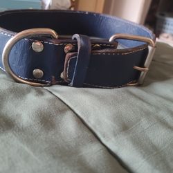 Dog Collar