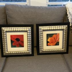 Framed Flower Art Prints