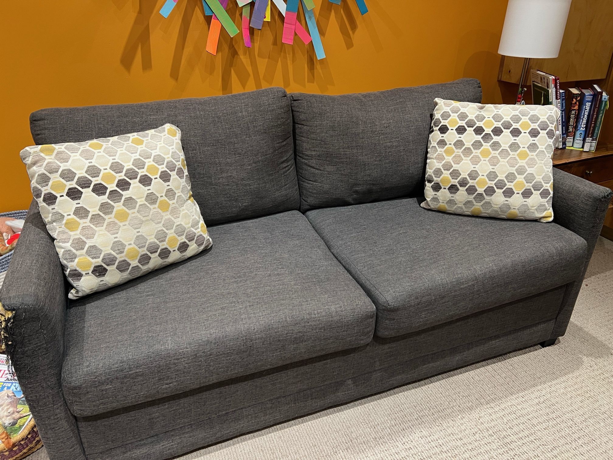 Sleeper Couch