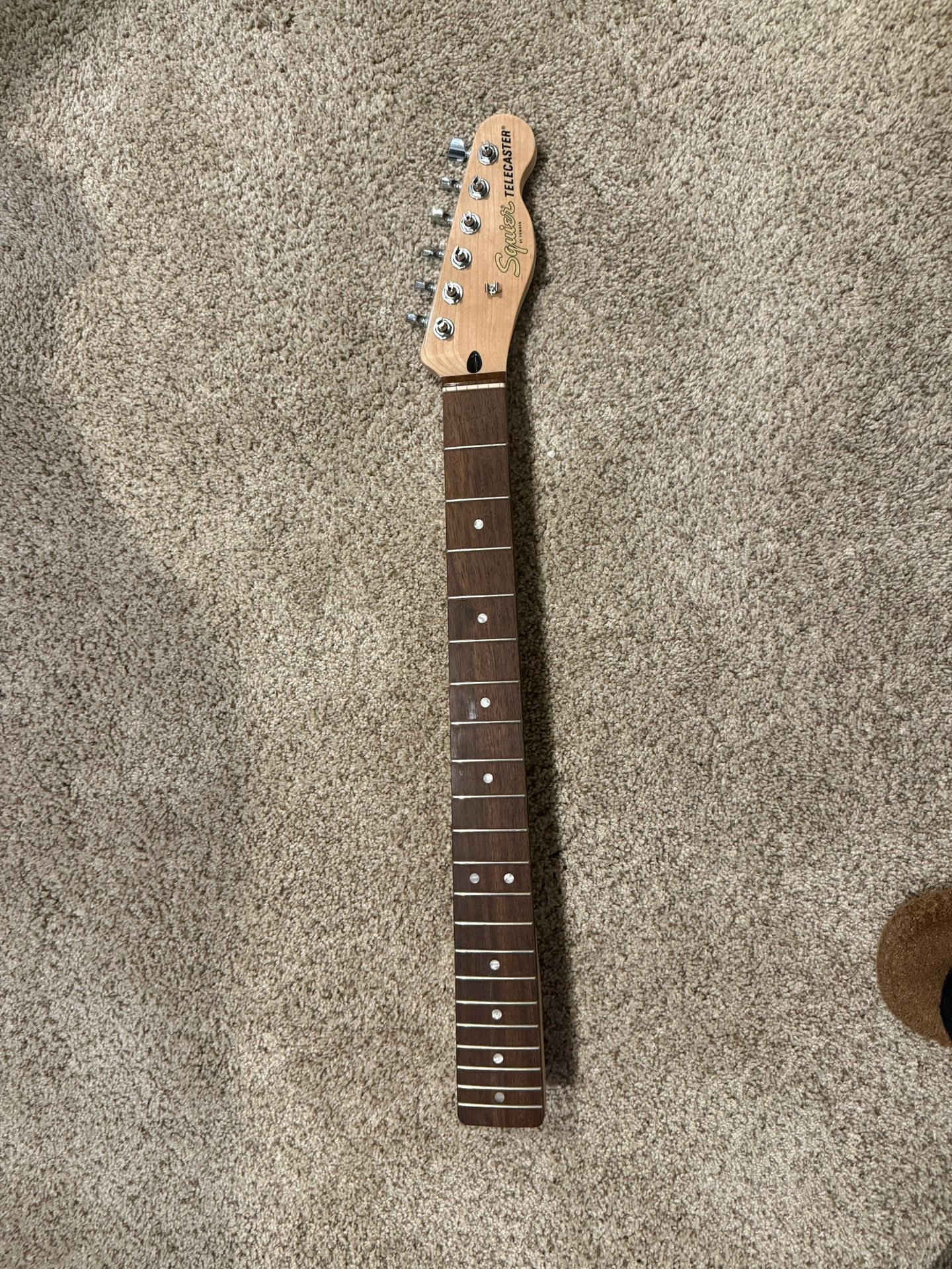  Fender Squier Affinity Series Telecaster NECK WITH TUNERS - FMT SH Laurel