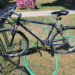 Bianchi Bicycle 