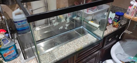 20 gallon fishtank starter kit