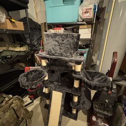 Tall Cat Tree