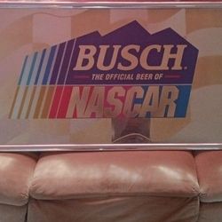 Authentic Bush NASCAR Mirror 