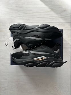 Dior B22s