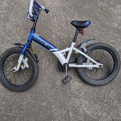 Boys 16 Inch Trek Bicycle