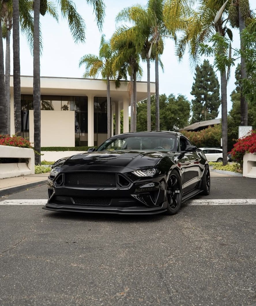 Ford Mustang GT OEM Shadow Black Front Bumper 🚨 Free Gift Included🚨