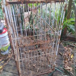 Large old parrot cage