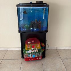 Large Fish Tank with Oscar Fish + Accessories – Moving Sale 