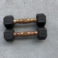 Pair 5 lb Dumbbells Weights 