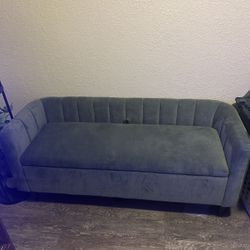 Mini Couch With Storage 