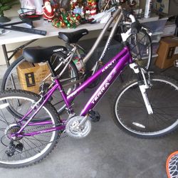 Two Bikes For Sale. Purple One Is Terra 2.4 Vary Nice Bike For 150.00 N Other Bike Is A Schwinn Bike For 150.00 Nice Bike