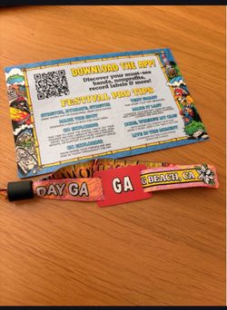 Vans warped tour 2 day GA