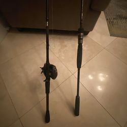 custom Fishing Spinning Rod+casting Rod 
