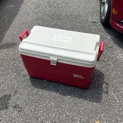 Igloo Cooler