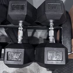 75 Lbs Weights 