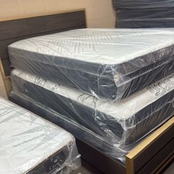 NEW SPECIAL NUEVA ESPECIAL 