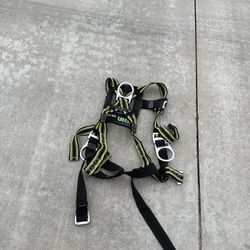 Climbing Harness 