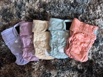 Zingterra Reusable Dog Diapers Pack of 5 Small