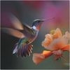 Hummingbird 🌸 