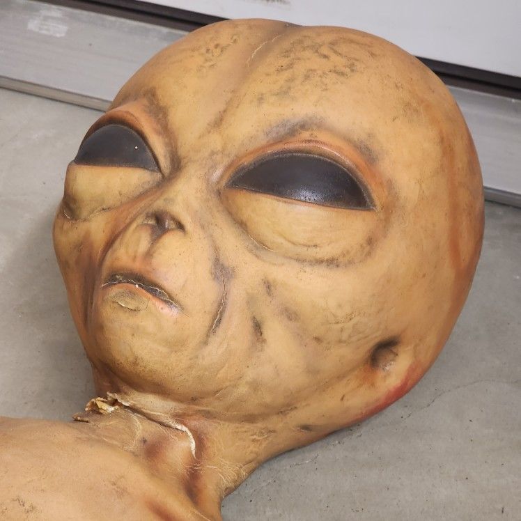 RARE Halloween Oddities Alien UFO Roswell Area 51 Extraterrestrial Prop