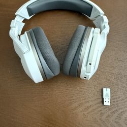 Turtle Beach Headset