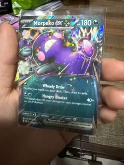 Morpeko EX Pokémon Card Holo