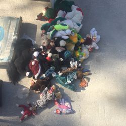 TY Assorted Animals 