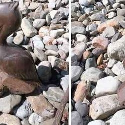 Solid Wood Hand-Carved Pelican 