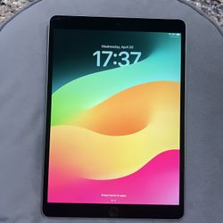 iPad Pro