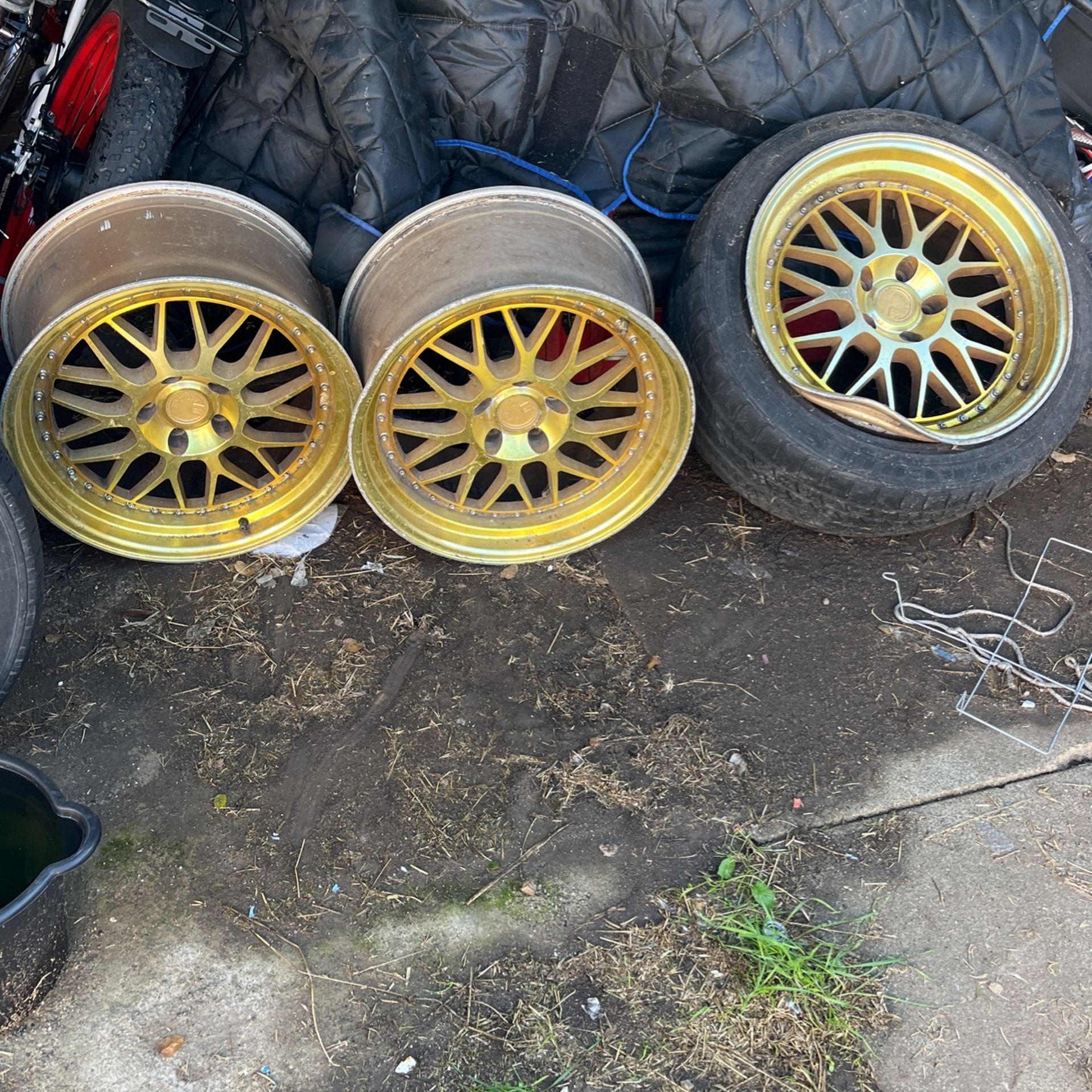 Gold Rims