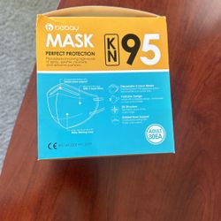 KN95 Face Mask