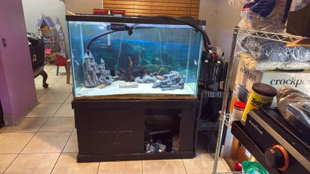 250 Gallon Fish Tank
