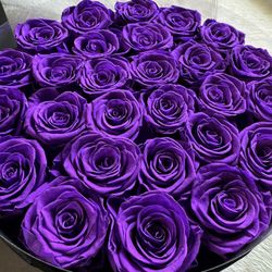 Million Roses Preserved Roses That Last Many Decades 