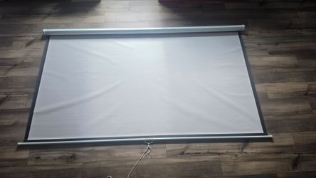 100 inch projector screen