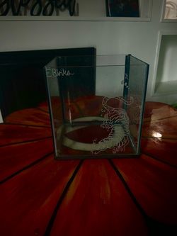5 Gallon Custom Engraved Tiger Aquarium – Handmade Glass Tank