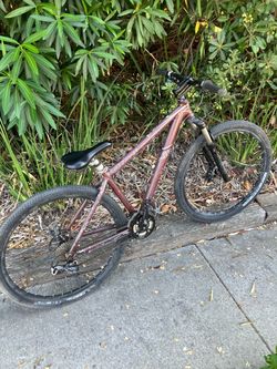 Felt mountain bike