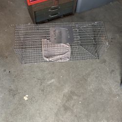 Animal Trap