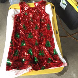 Girls Festive Dresses $20