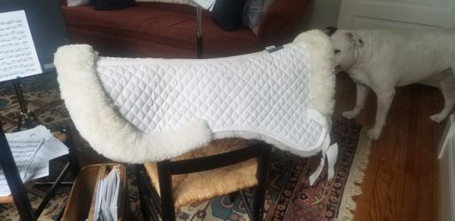 Several fitted horse show coolers and saddle pads