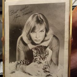 Rare Anne Francis Phantom Movie Signed Picture 