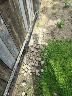 FREE LANDSCAPING ROCKS