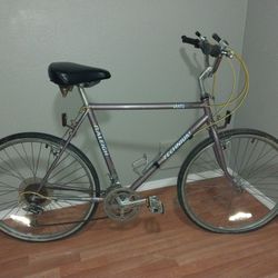 1987 Technium Skylite By Raleigh